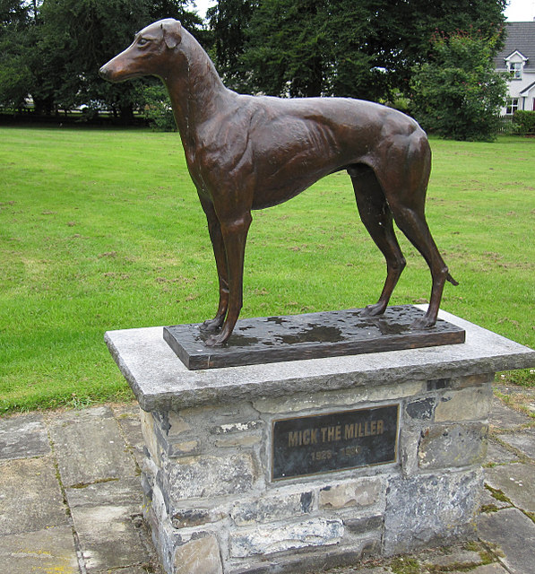 Mick the Miller, greyhound de carreras leyenda del galgódromo
