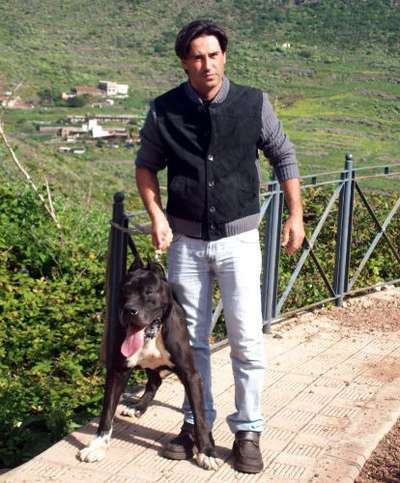 Odin de Paco Cedres