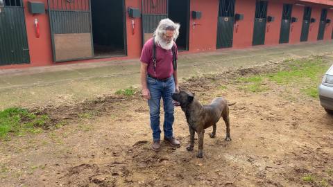 Fausto de Irema Curtó vídeo