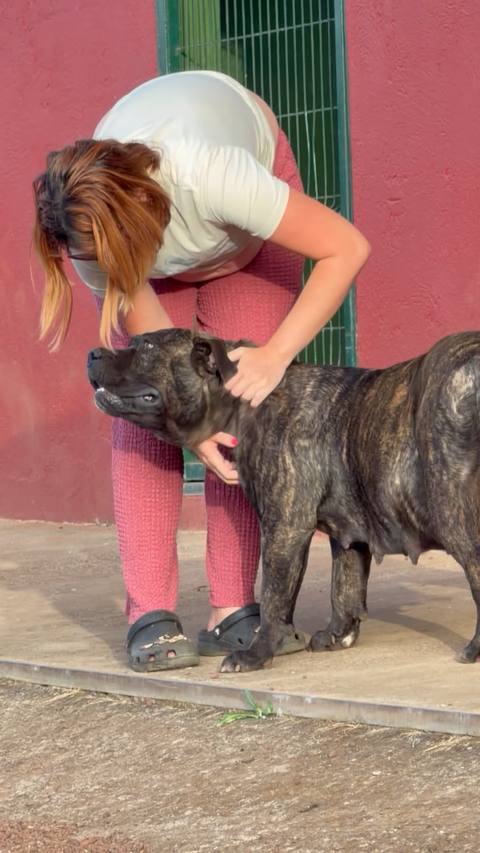 Ursa de Irema Curtó vídeo