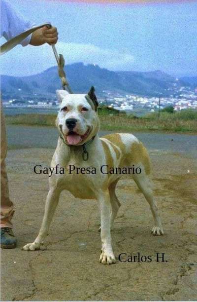 Anaga de Rucaden