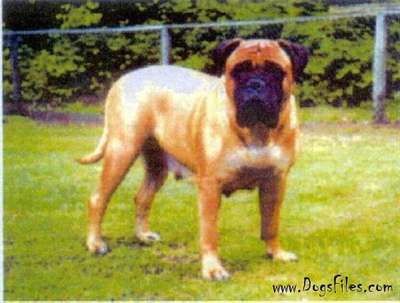 SANDCASTLE'S LIZA LEDBOTTOM