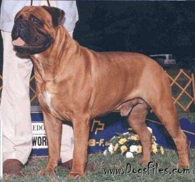 ALLSTAR'S MUGSY MALONE