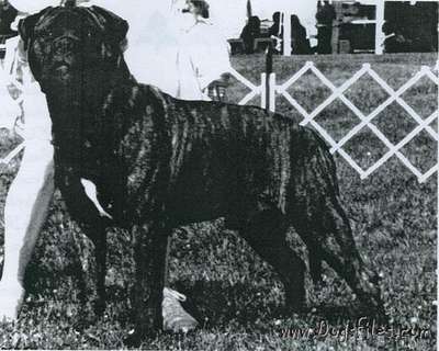 BLACKSLATE'S DUKE O'SANDCASTLE