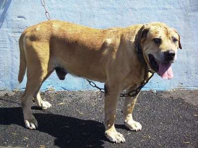 Trueno