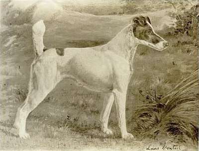 Ch. Warren Remedy
