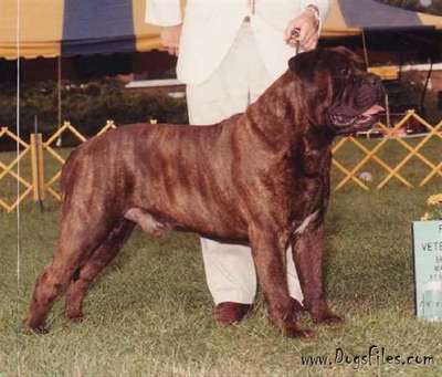 BLACKSLATE'S BOSTON BLACKIE
