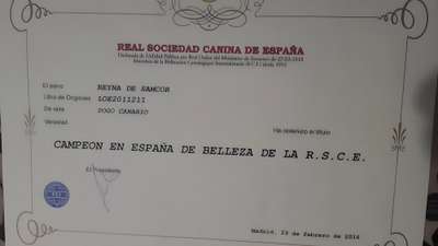 REYNA DE SAMCOR
