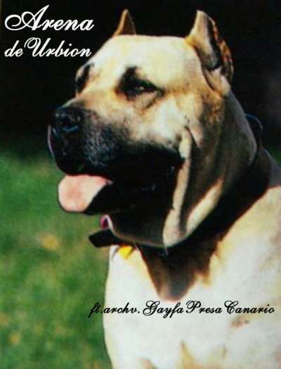 ARENA DE URBION