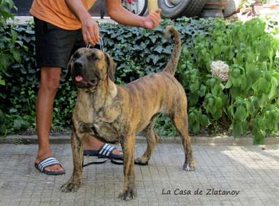 DAYSI DE CENTURIONES DE BERTI