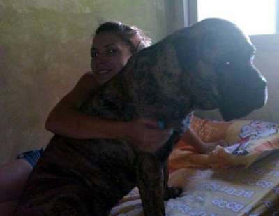ENCAR DEL RABIZAL