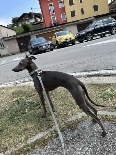 Hope Della Dogaressa