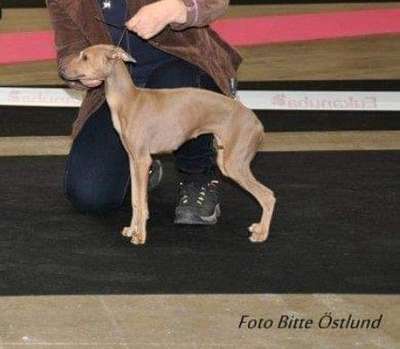 Nitusch Floria
