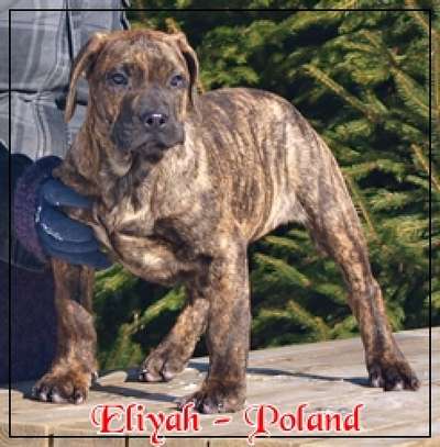 ELIYAH NUESTRA SANGRE