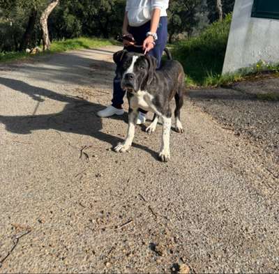 NALA DA CASA CAMARINHA