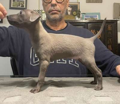 Boabdil El Chico De Benaudalla