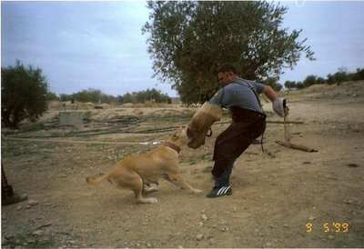 SKARA DE KING ZULU