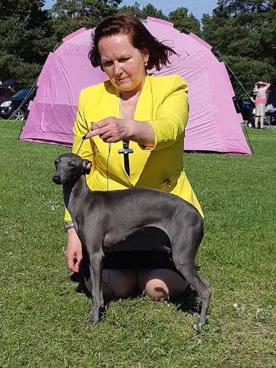 Minnamur Beata Bazhinska