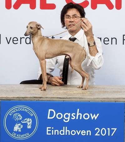 Orlov Du Chien D'Ebène