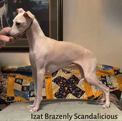 Izat Brazenly Scandalicious