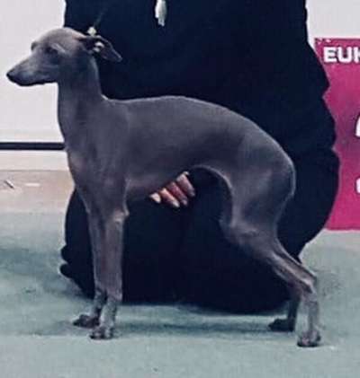 Yebelli's Millie
