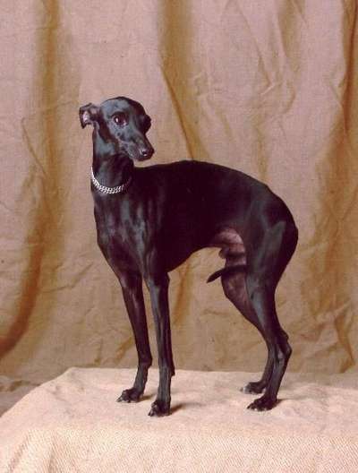 Onyx Des Trois Pyramides