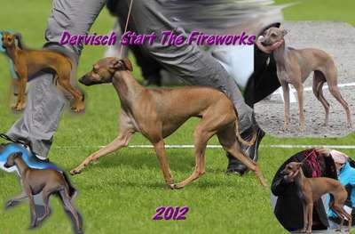 Dervisch Start The Fireworks