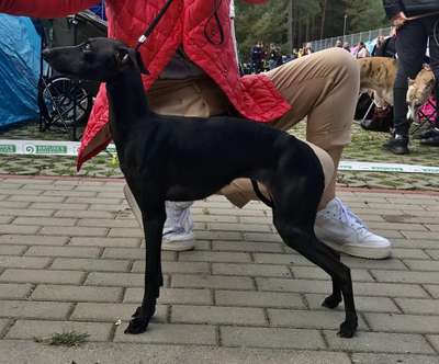 Izie Jūsu Komfortui