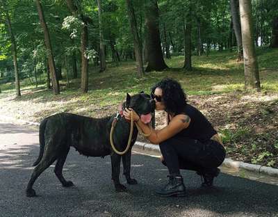 RANKA VIKING GUARD KENNEL