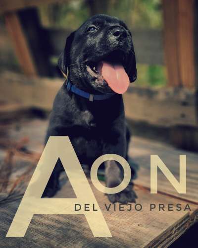 AON DEL VIEJO PRESA