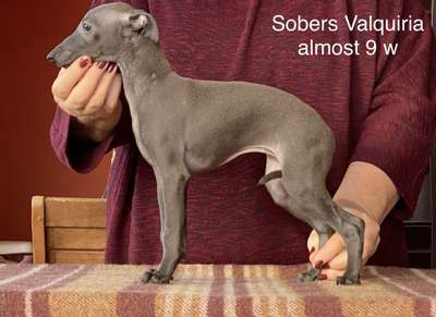 Sobers Valquiria