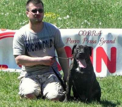 COBRA PERRO PRESA GRAND