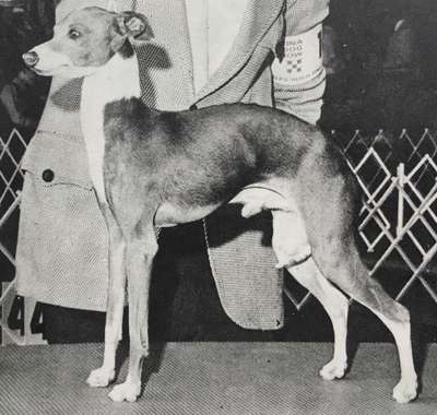 Driftwood's Walter Willard S