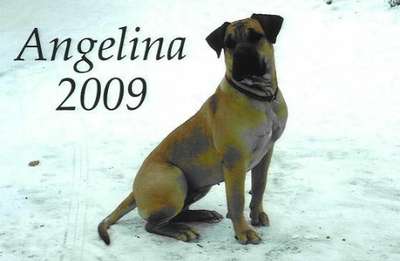ANGELINA DE LA CASA AMISTOSA