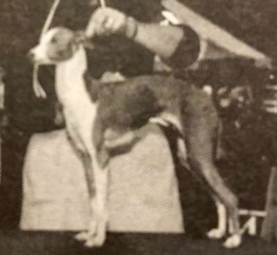 Jobi Circe De Millstone