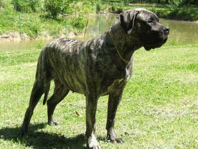 VULCANE LE DOMAINE DES GUANCHES