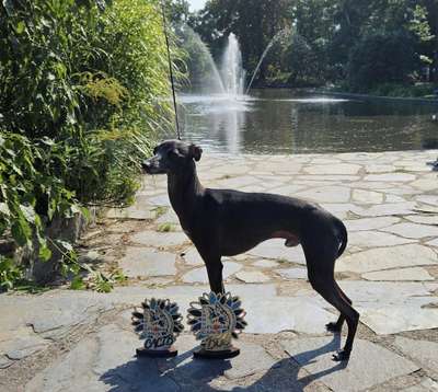 Royal Lady's Dogliani