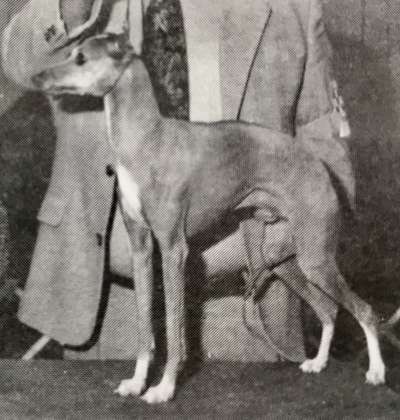 Prima's Chi Chi Rodriguez