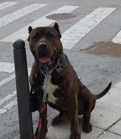 TYSON DE CUETO