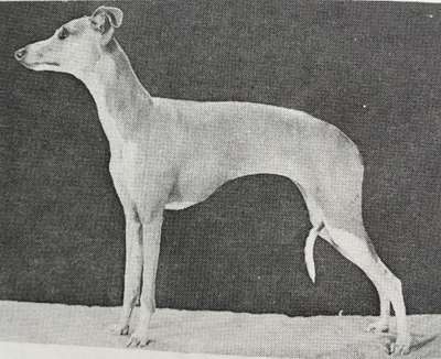 Majana's Orbella Di Margo
