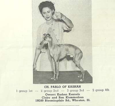 Pablo Of Kashan
