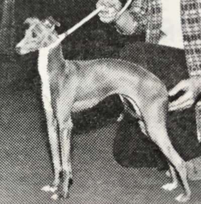 Pixie's Piccolette Pearl