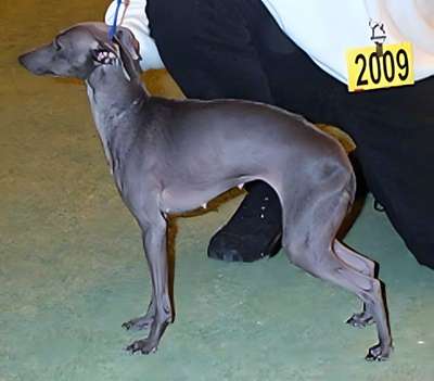 Iso-Brina's Ramina Cona Del Matra