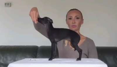 Ever Bloom Sakura Skywinds