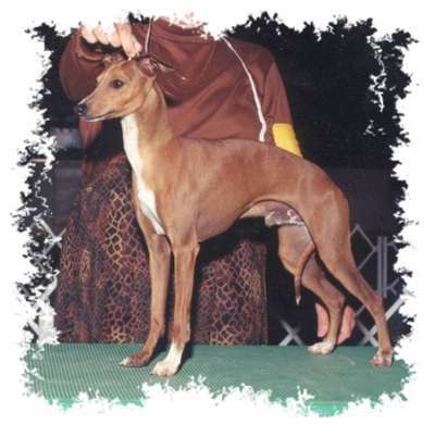 Winsome Ottenere Strokin