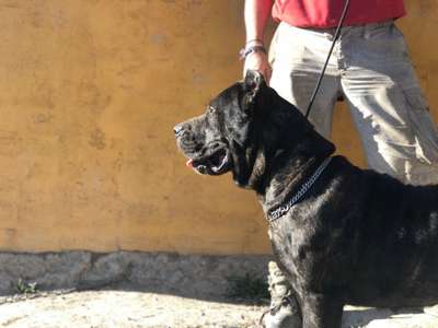 MARTA DE KING ZULU