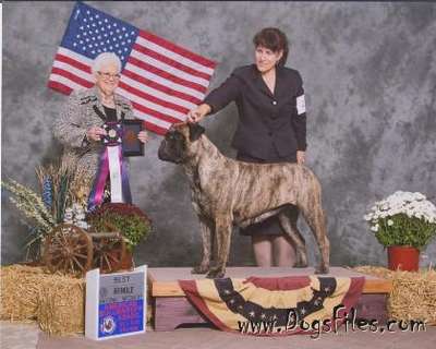 KNATCHBULL'S RUN FOR THE ROSES