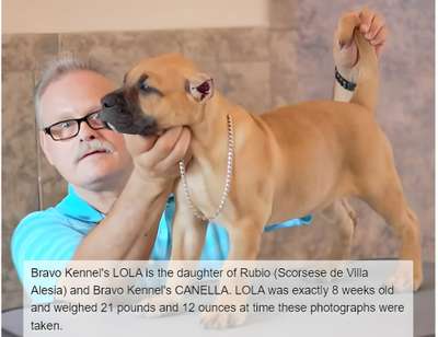 BRAVO KENNEL’S LOLA