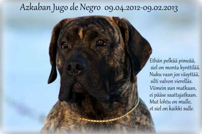 AZKABAN JUGO DE NEGRO