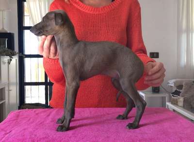 Billitha's Come Near And Rescue Me